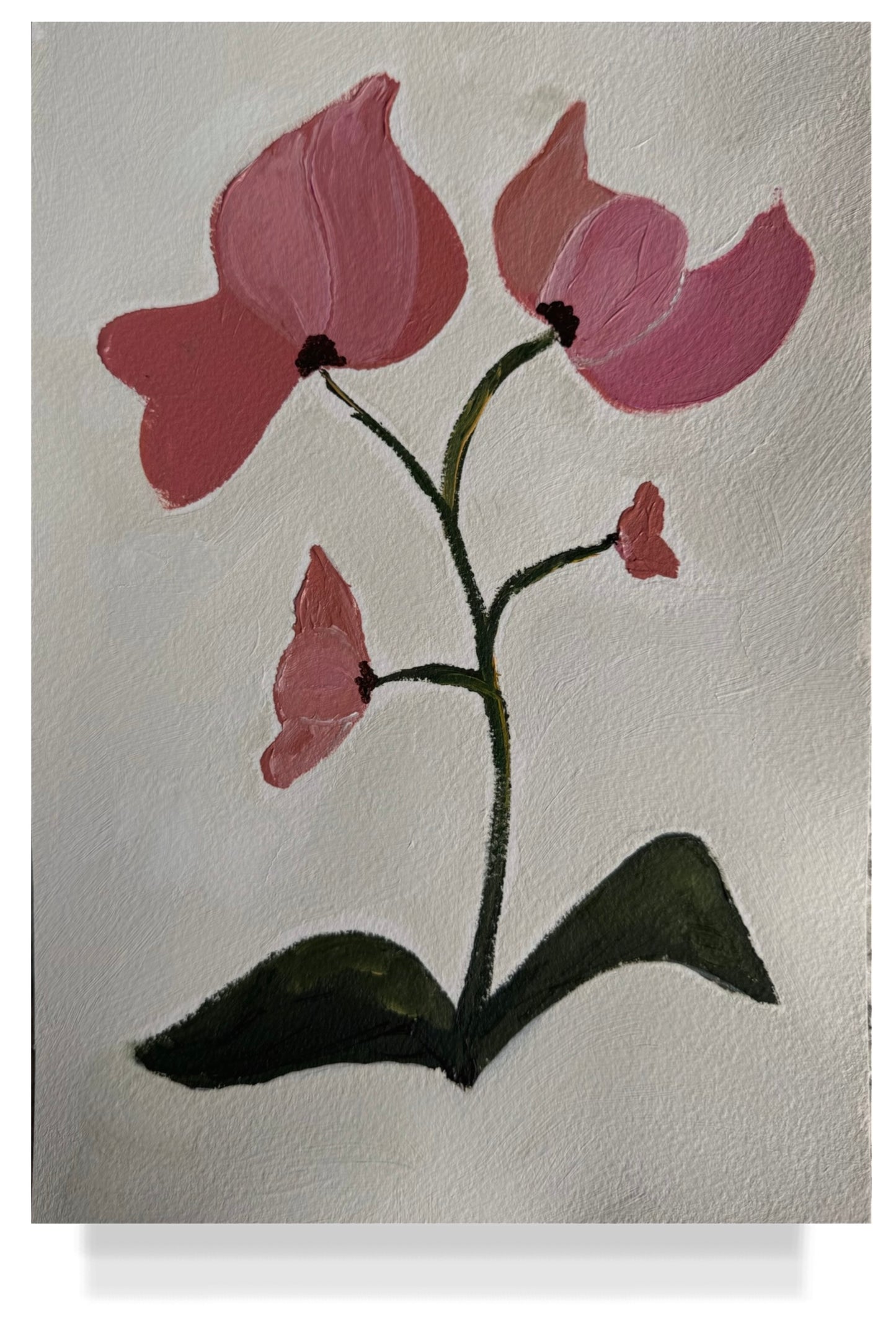 Pink Floral Paper